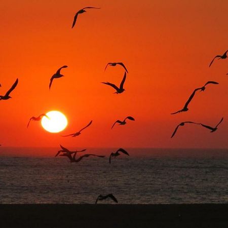 Serenabeach Nazare Luaran gambar
